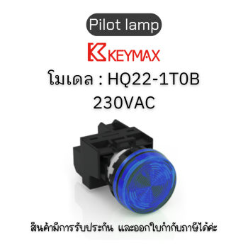 สวิตซ์ Pilot lamp 22mm blue 230VAC Indicator(Lamp) Flush] Keymax ของแท้! รับประกัน 1 ปี