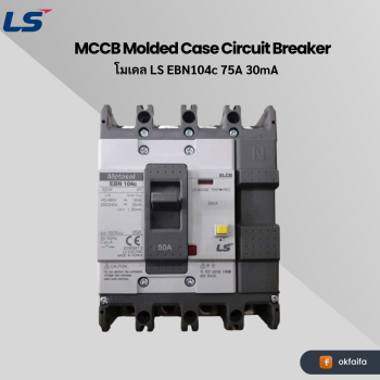 LS electric ELCB [EBN104c 75A 100/200/500mA EXP]